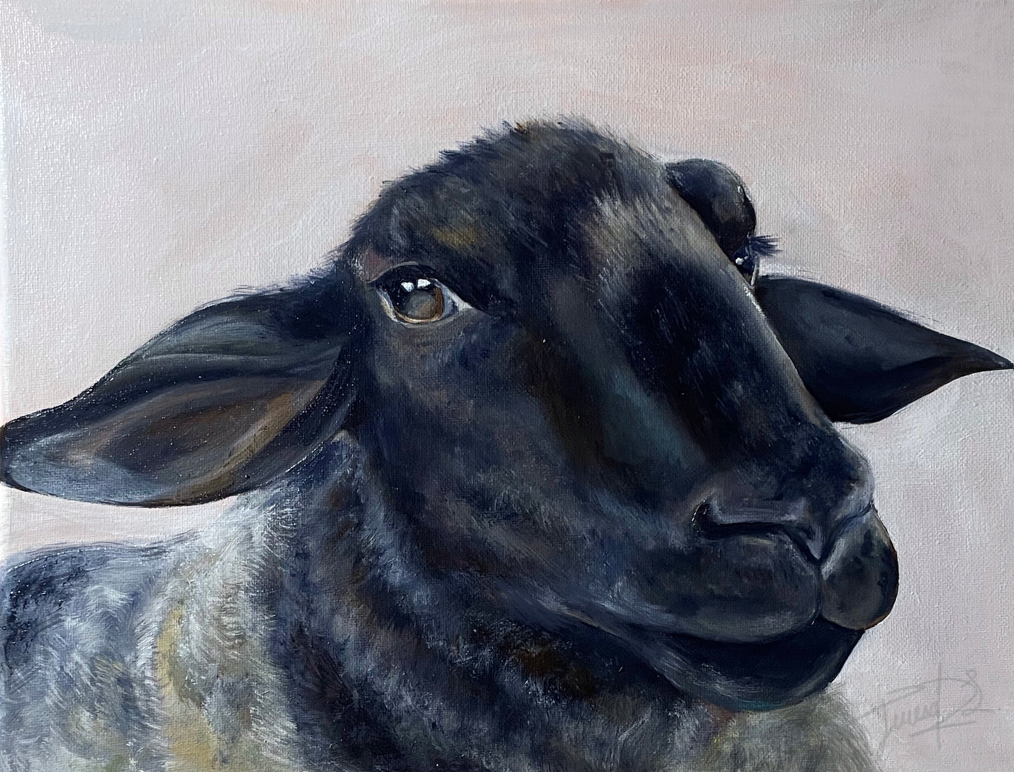 Black Sheep - Fine Art Print